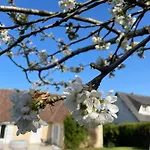 Le Cerisier