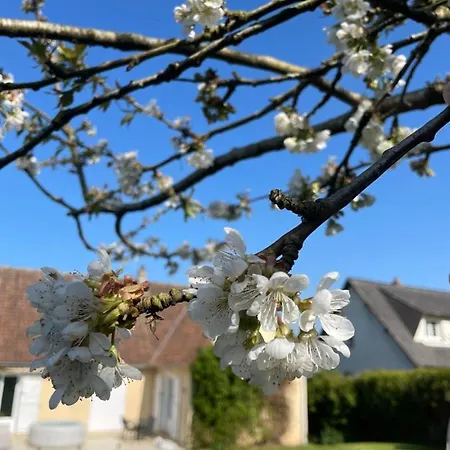 Le Cerisier